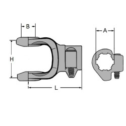 FURCA CANELATA Z=6 24474627