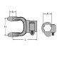 FURCA CANELATA Z=6 24474627