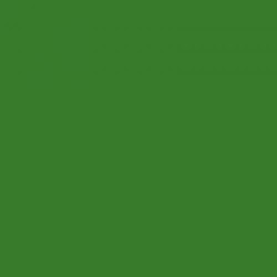 Vopsea verde MCF1301