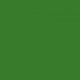 Vopsea verde MCF1301