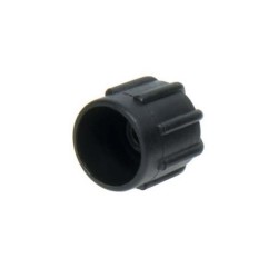 CAPAC SUPAPA RACORD CLIMA 10227427