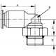 RACORD COTIT CU MUFA 6x1/8"