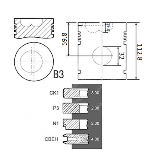 Piston cu inele F183200310010
