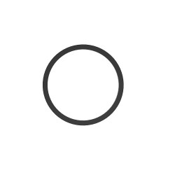 ORING R39304