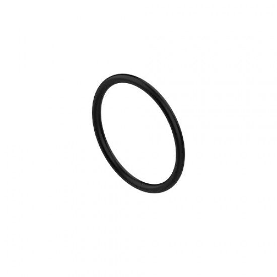 ORING R504304