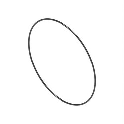 O-RING R99039