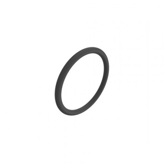ORING U10289