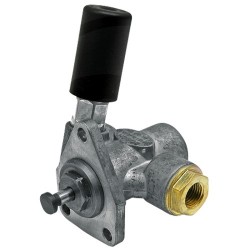 POMPA MECANICA DE COMBUSTIBIL 044008125
