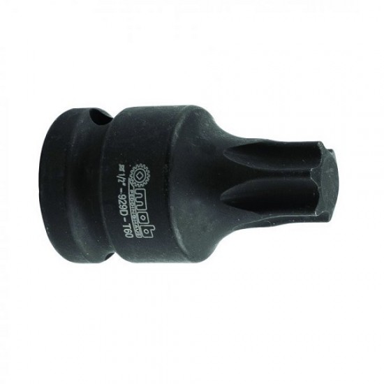 CAP TUBULARA IMPACT BIT 50Tx1/2”
